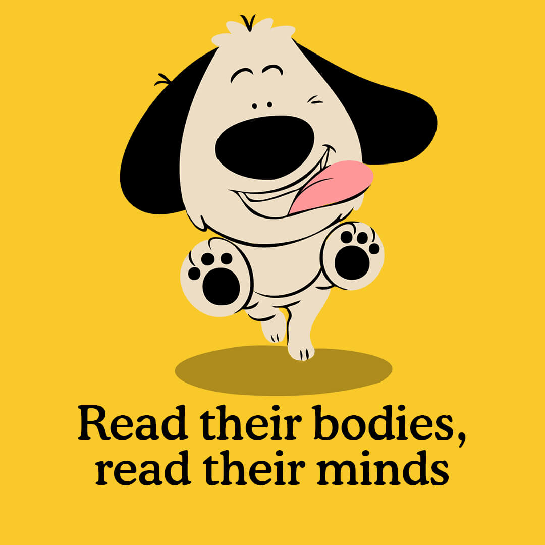 Understanding Puppy Body Language Zigzag