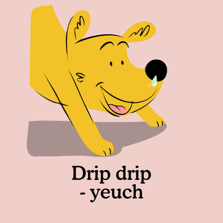 puppy runny nose