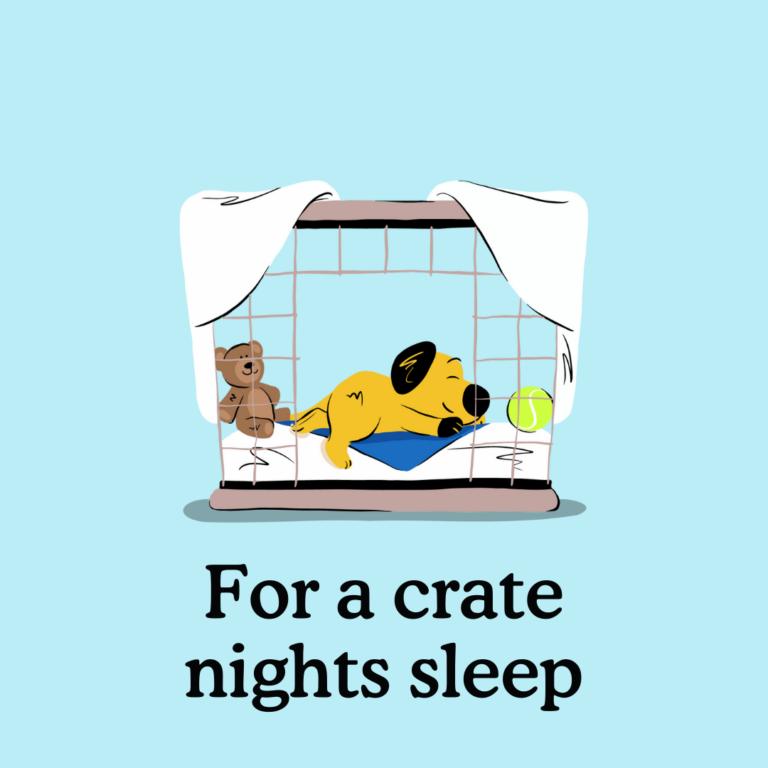 8 best puppy crates for all situations