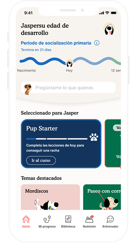 Zigzag App