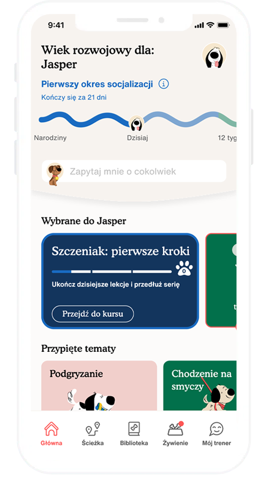 Aplikacja Zigzag