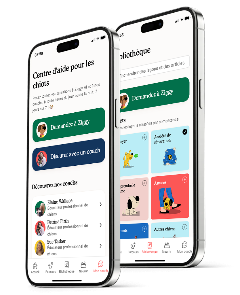 Zigzag App