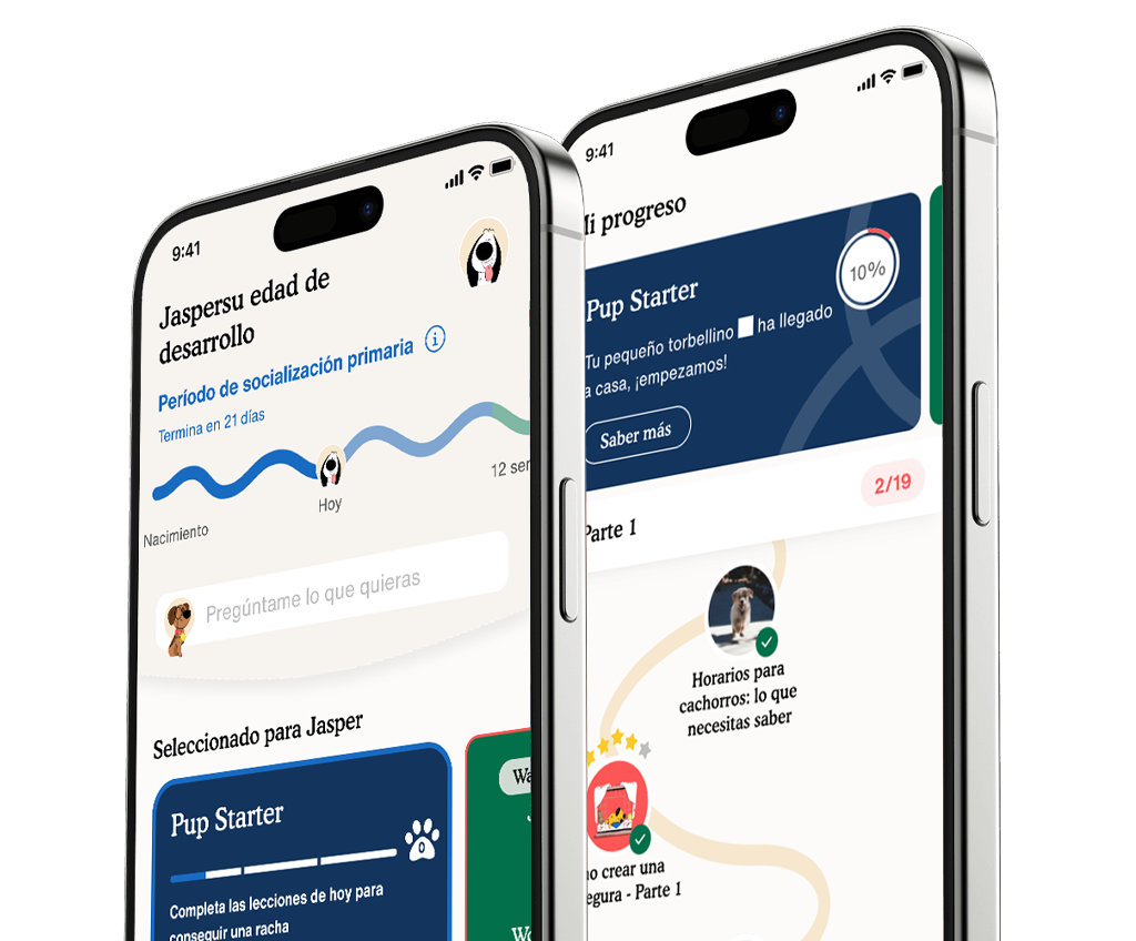 La app de educación para cachorros n.º 1
