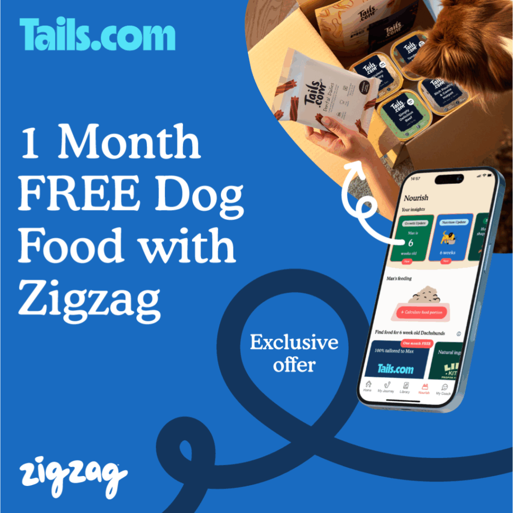 Zigzag app promoting free dog food UK - one month of free dog food from Tails.com