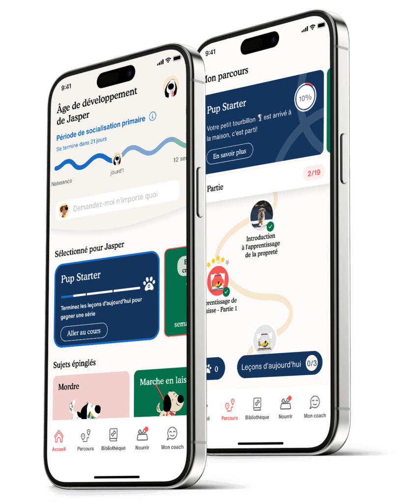 Zigzag App