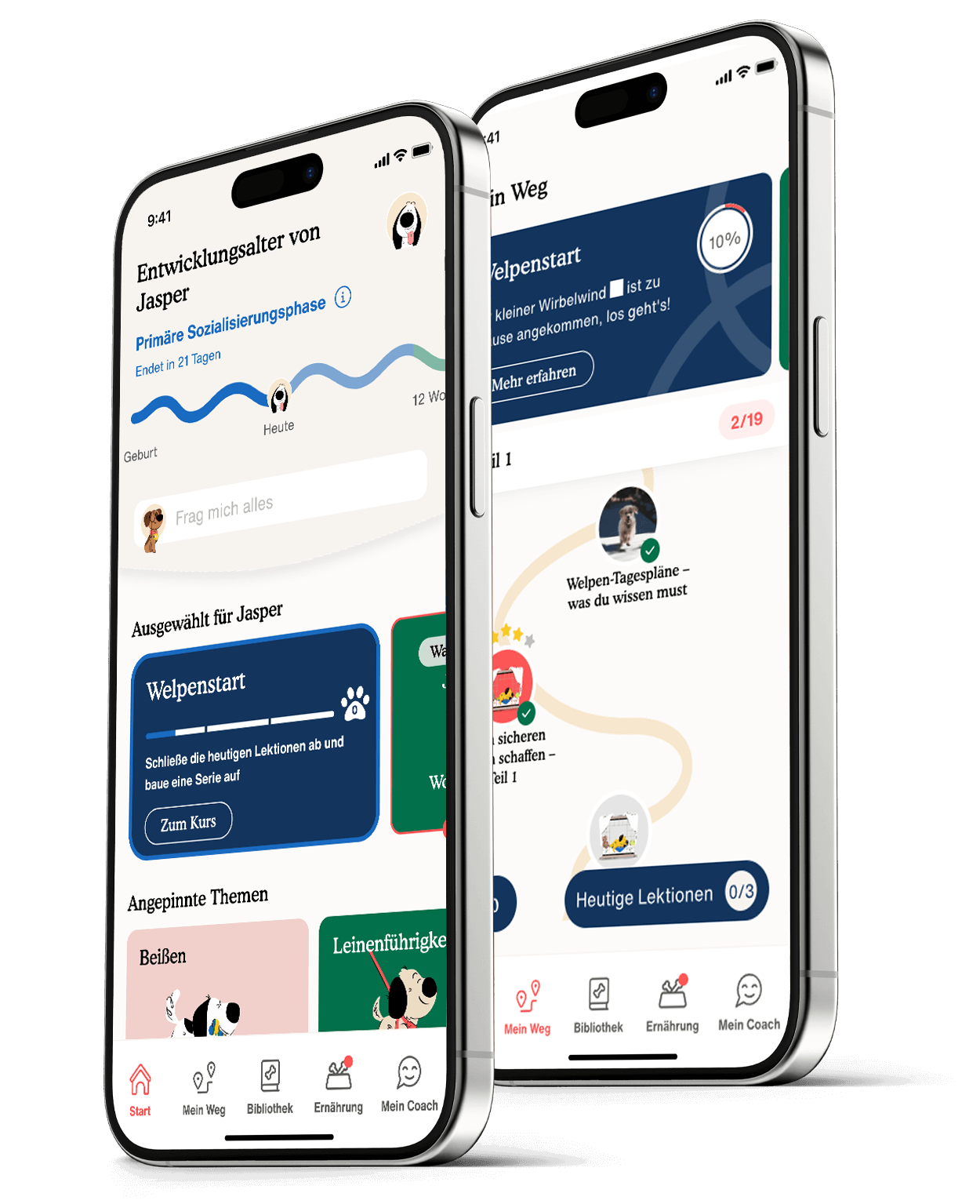 Zigzag App: Welpentraining leicht gemacht