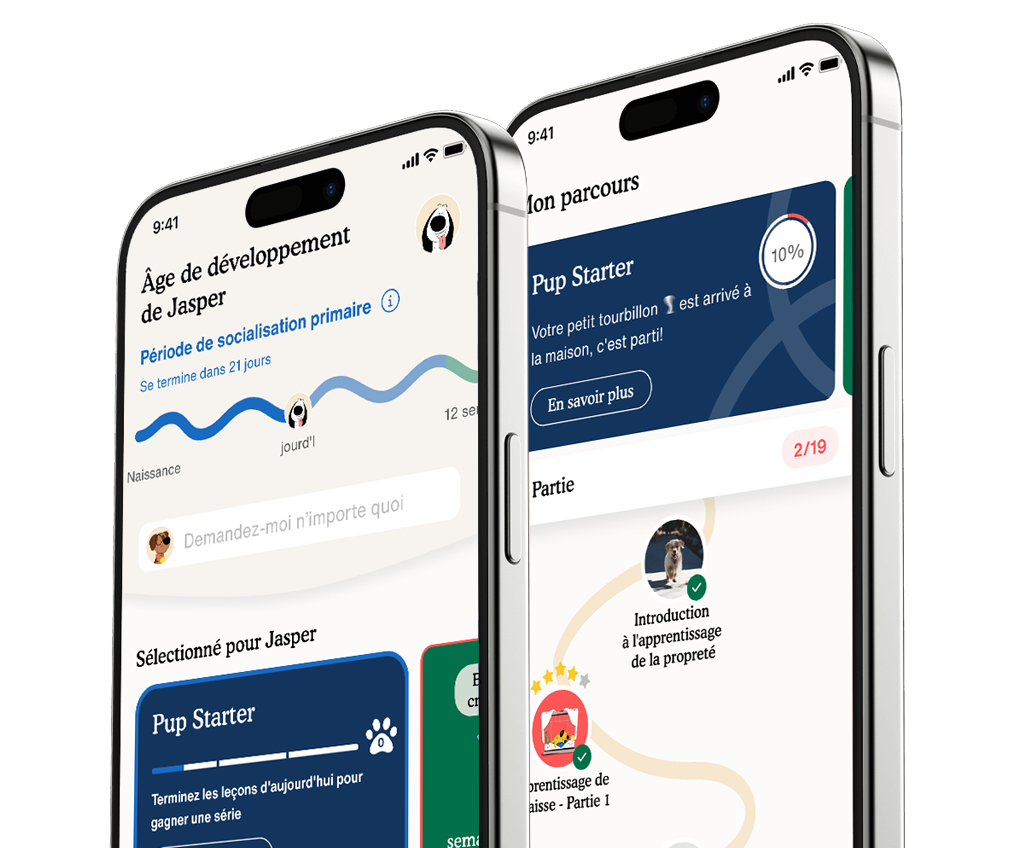 Zigzag App
