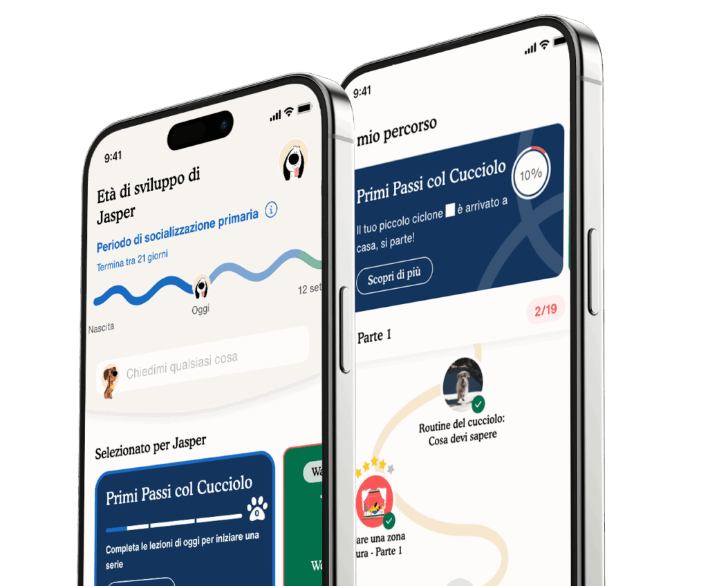 App Zigzag: l'educazione del cucciolo alla portata di tutti.