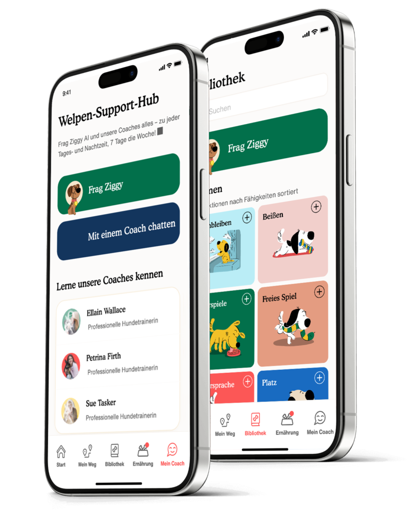 Zigzag App: Welpentraining leicht gemacht