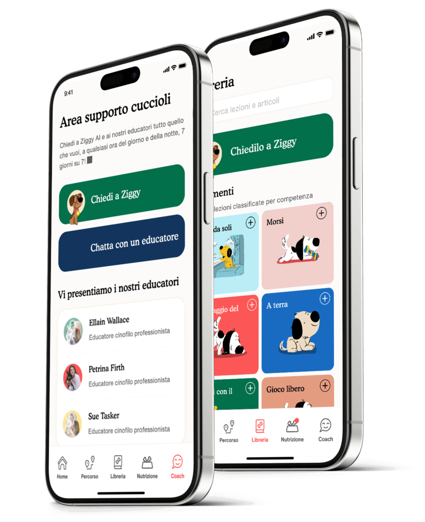 App Zigzag: l'educazione del cucciolo alla portata di tutti.