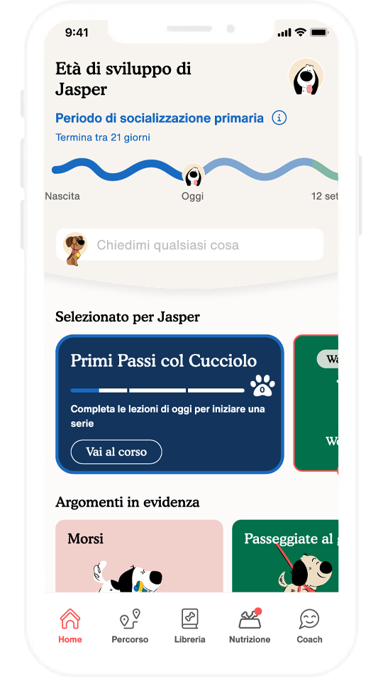 Scarica l'app oggi stesso