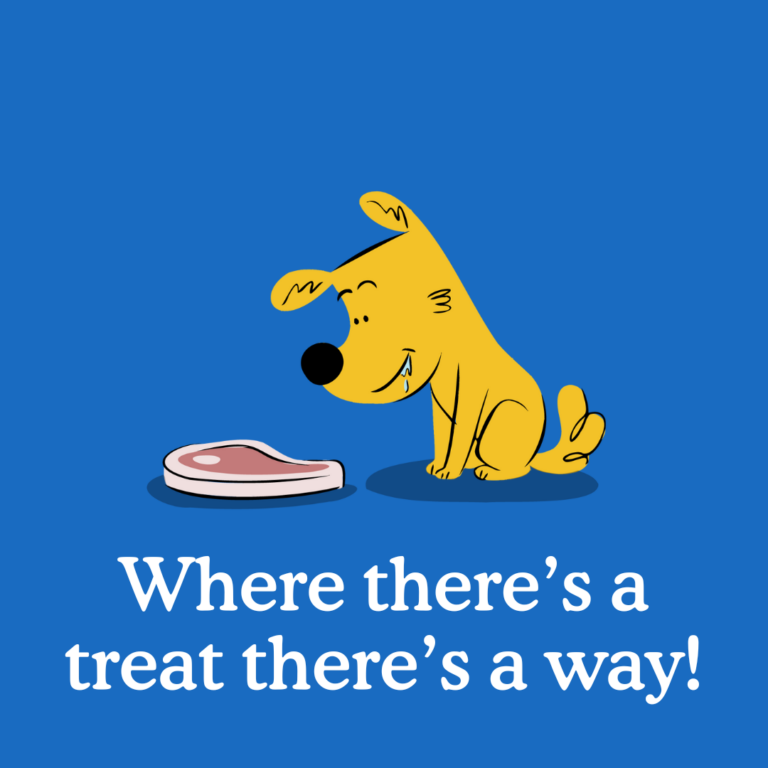 all about puppy rewarding and treating