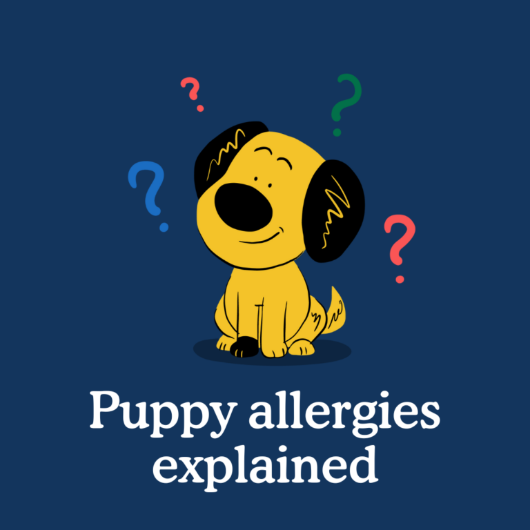 can puppies have allergies