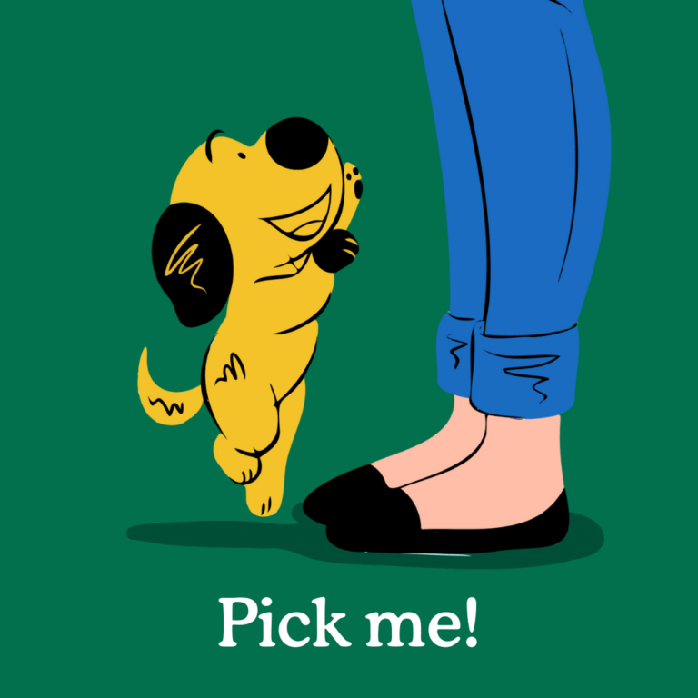 chosing the right dog breed for you