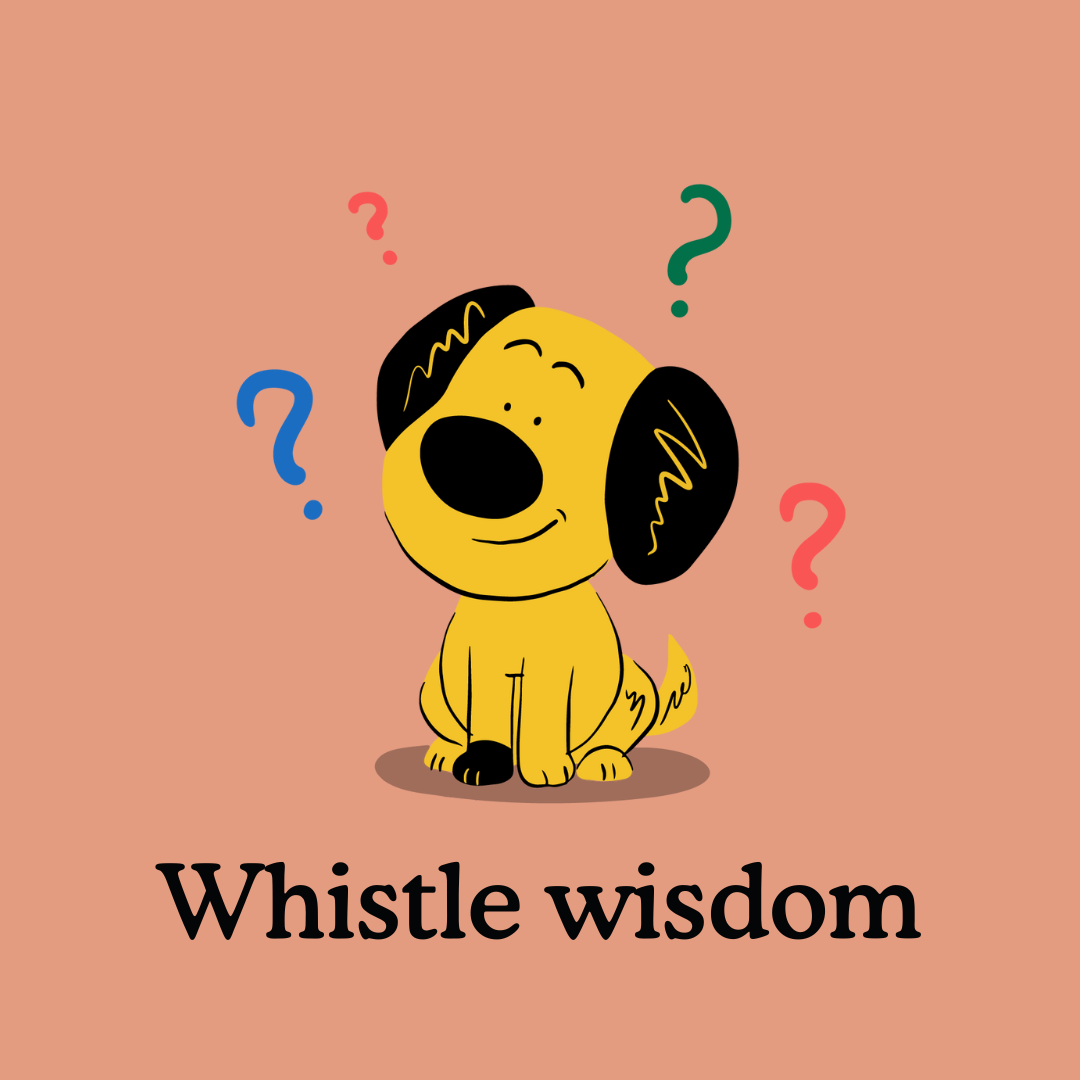 Best Sellers: Best Dog Whistles