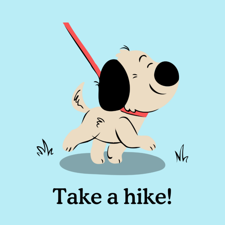 hiking with your puppy