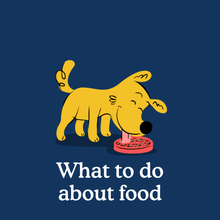 how much to feed a puppy