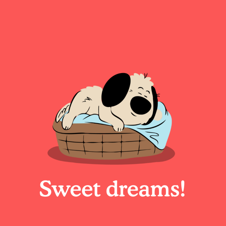 how to get a puppy to sleep through the night
