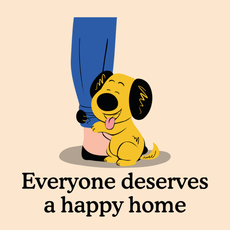 how to settle your rescue pup into their new home
