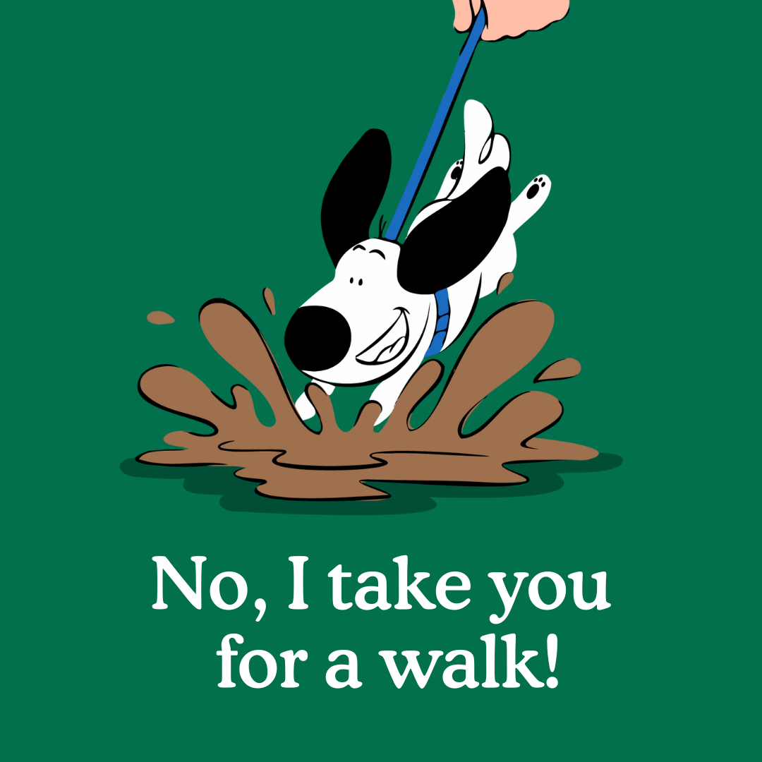 How to Stop a Puppy Pulling on the Lead Zigzag