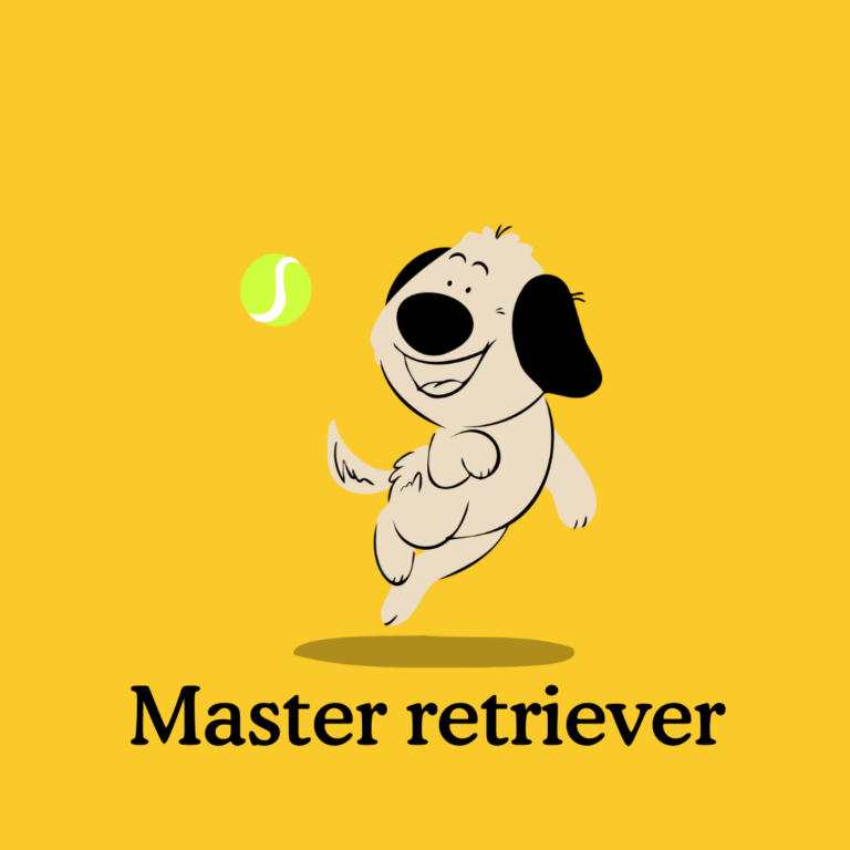 how to teach a puppy to fetch
