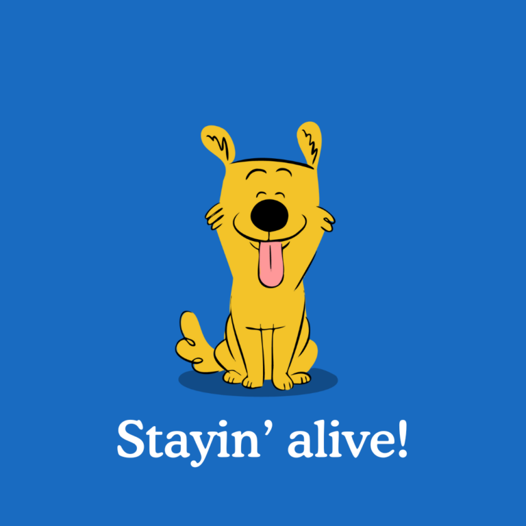 how to get your puppy to stay