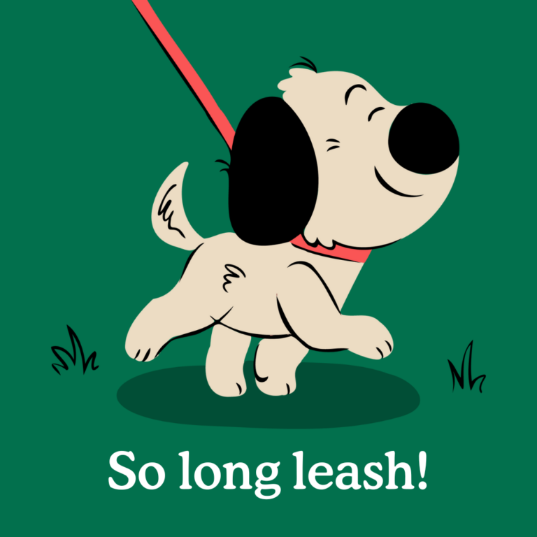 long leash training for new dog parents
