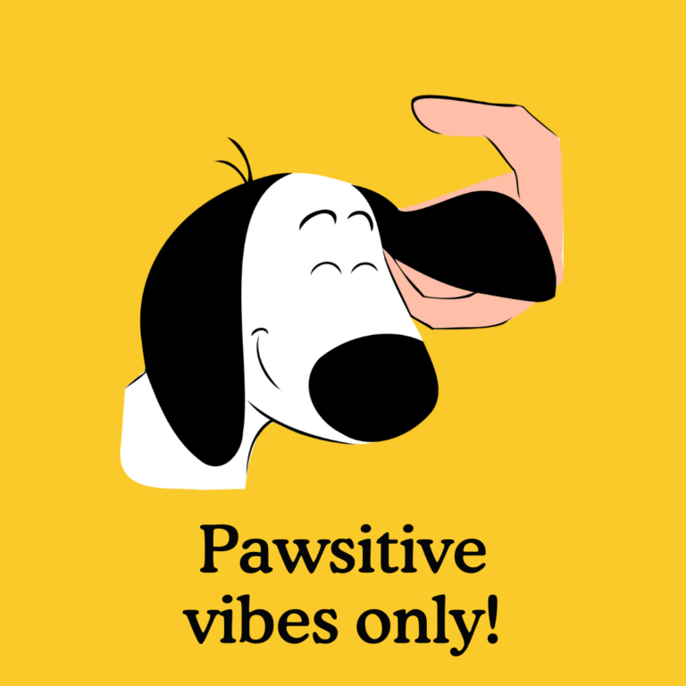 positive reinforcement, what does it mean?
