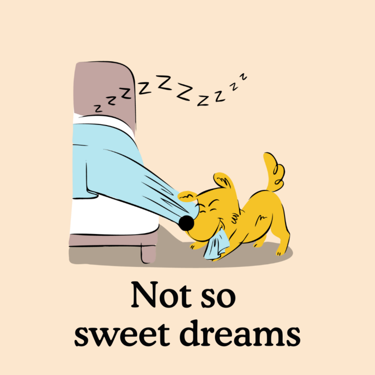 puppy bedtime routine