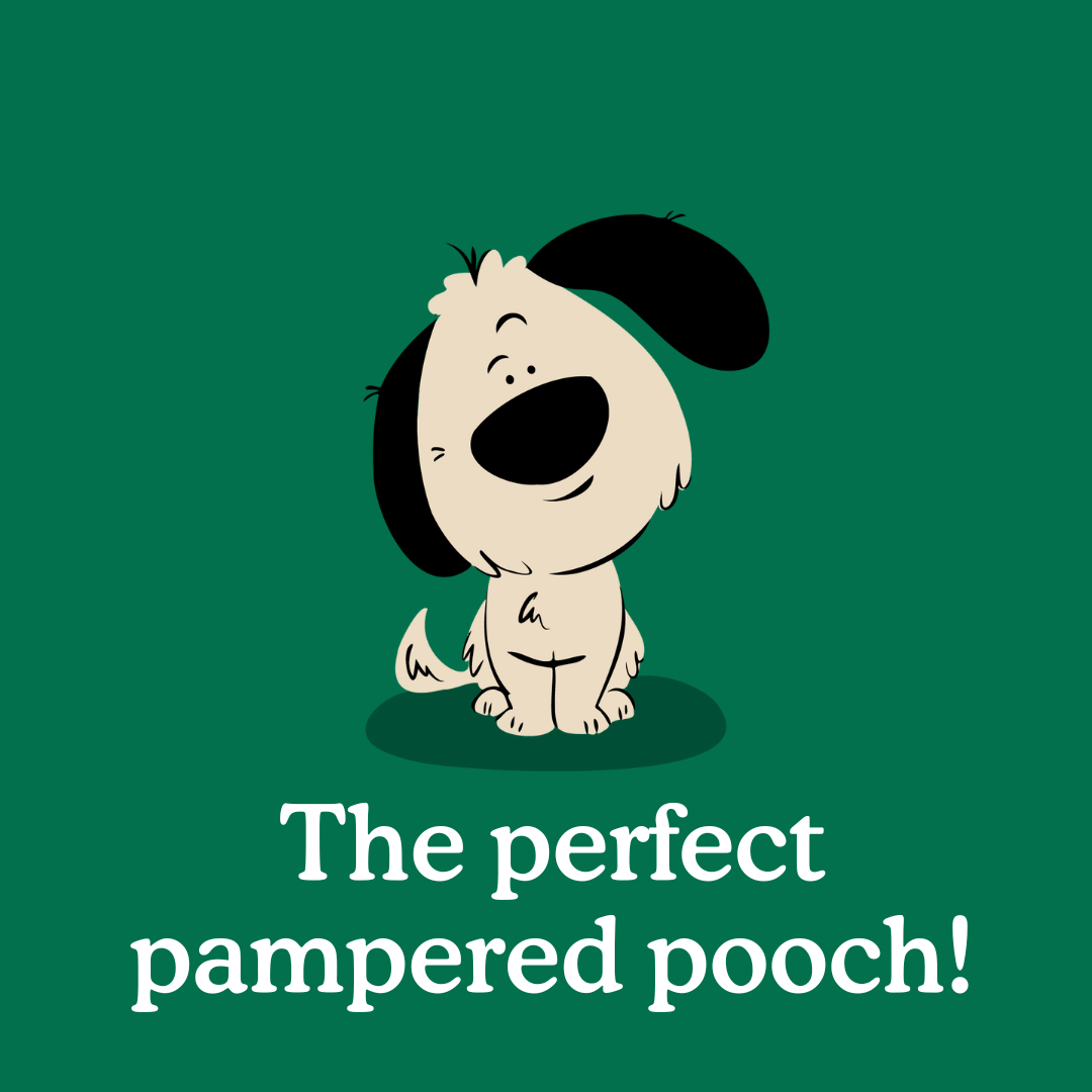 Puppy Grooming: Easy Tips for Doing It Yourself? – Zigzag