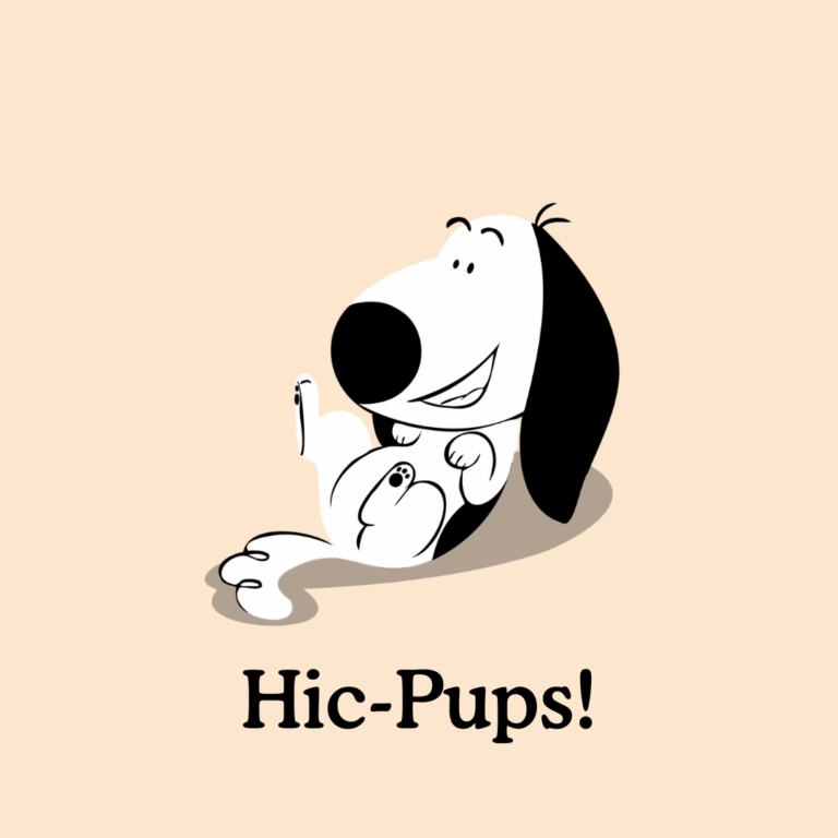 puppy hiccups