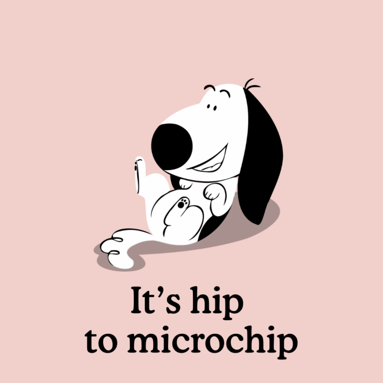puppy microchipping costs and benefits
