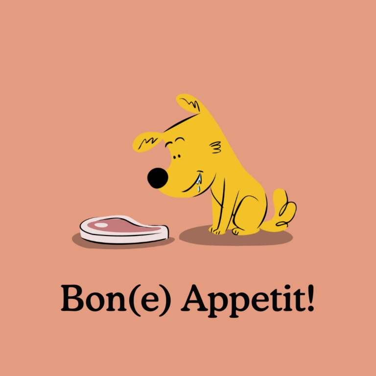 puppy nutrition