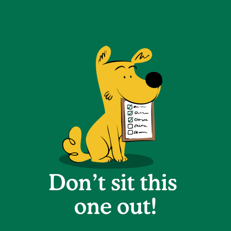 puppy obedience training