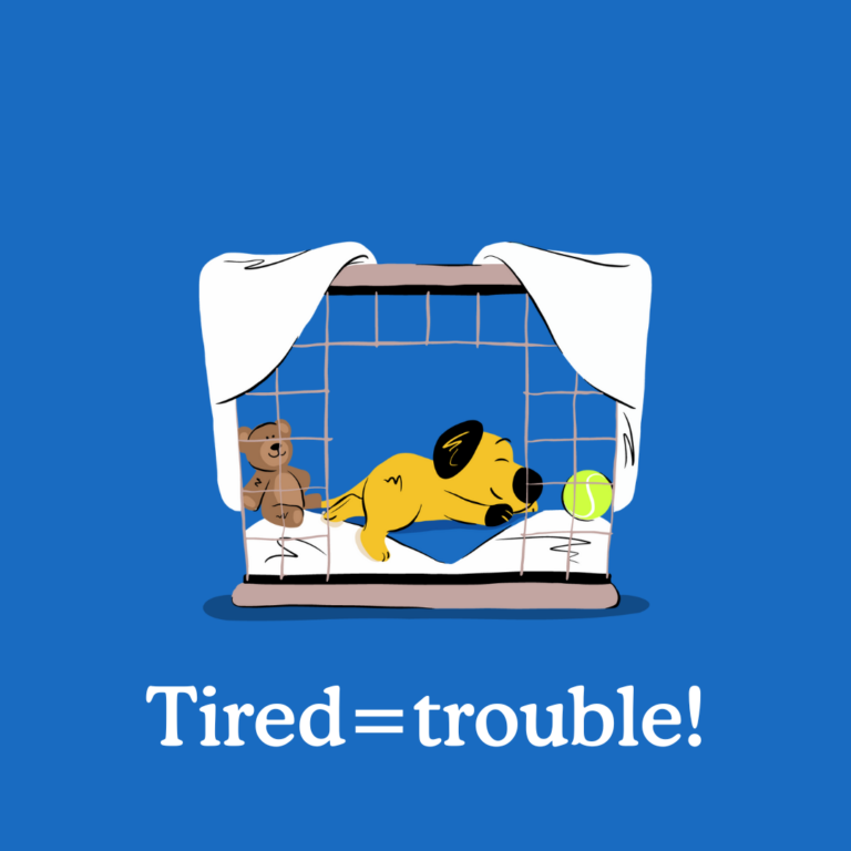 signs that your pup is overtired