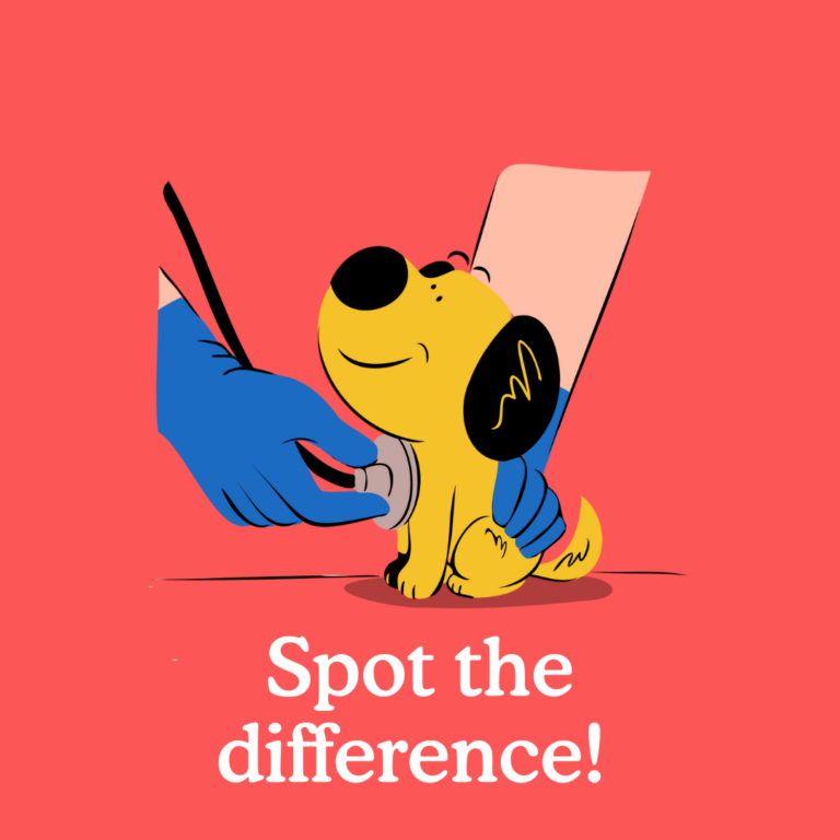 spot pet insurance header