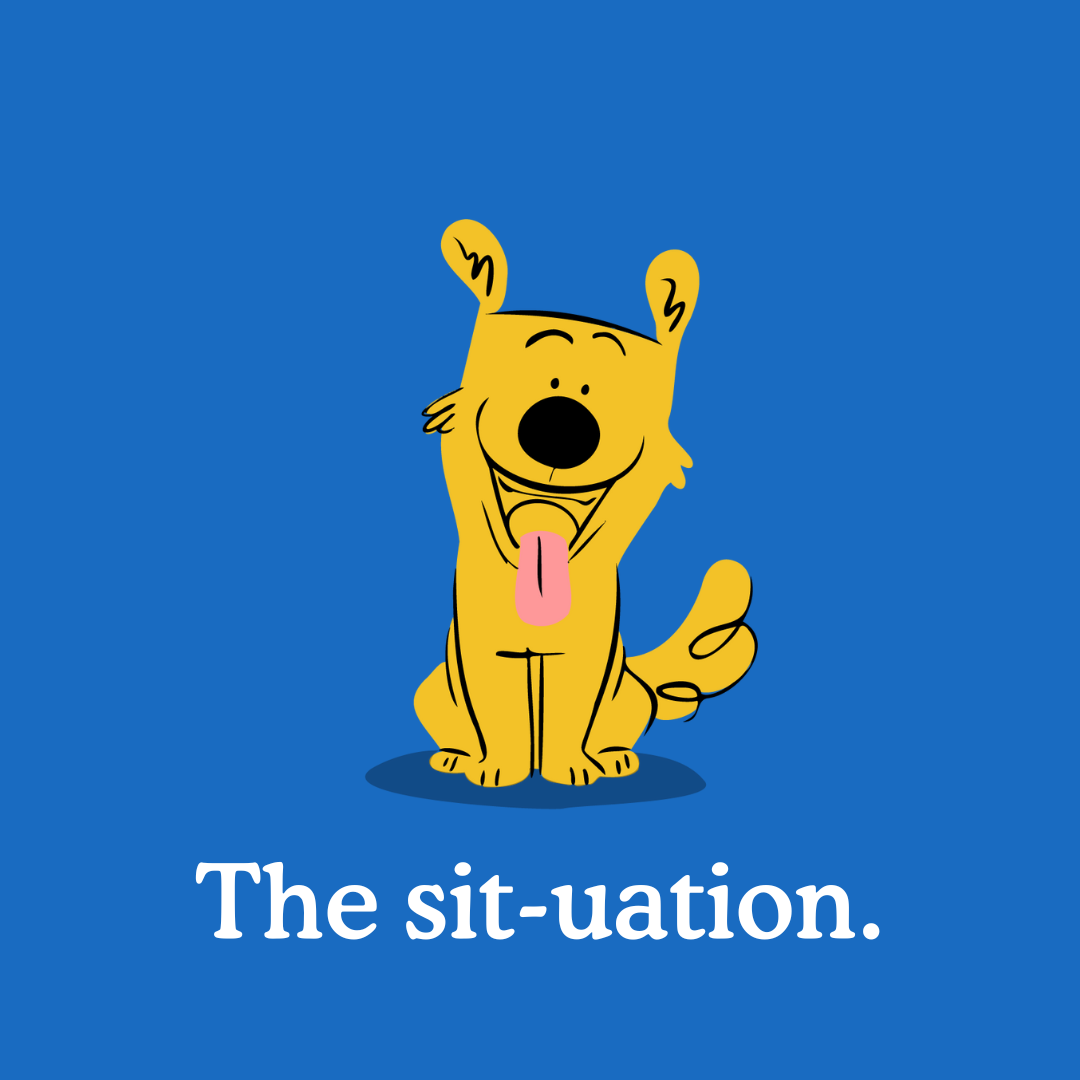 How to teach a puppy to sit the best training tips zigzag