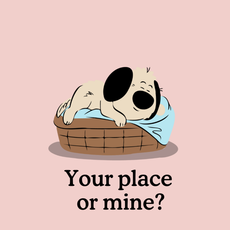 the best puppy beds for the best nights sleep