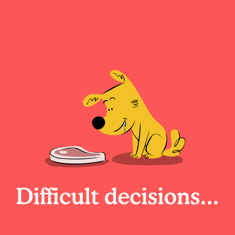 wet or dry dog food